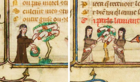 Malleus Maleficarum