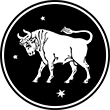 taurus 110x110
